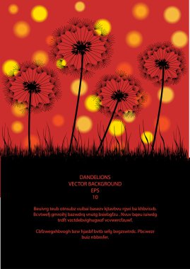 dandelions ile renkli vektör arka plan