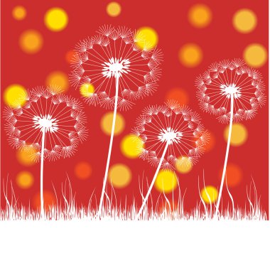 dandelions ile renkli vektör arka plan