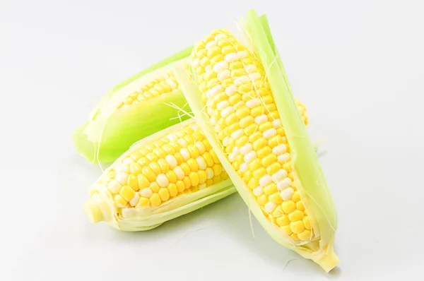 Corn — Stock Photo, Image