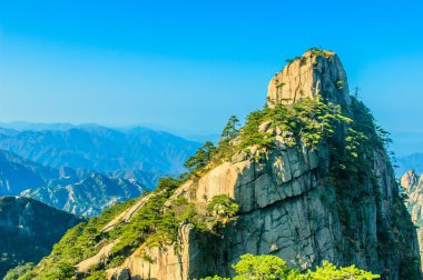 Huangshan dağ ve ağaçlar