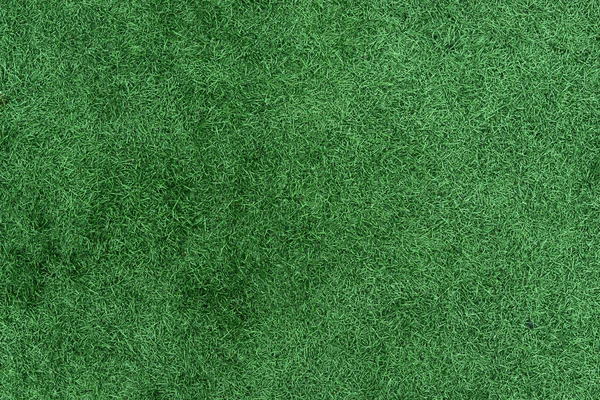 Green grass texture field background — Stock Photo, Image