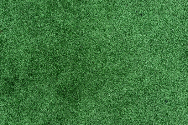 Herbe verte texture fond de champ — Photo