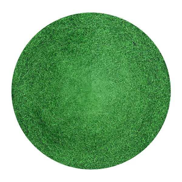 Herbe verte texture fond de champ — Photo
