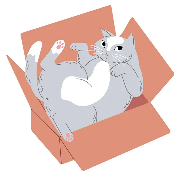 Cat giace a testa in giù in una piccola scatola — Vettoriale Stock