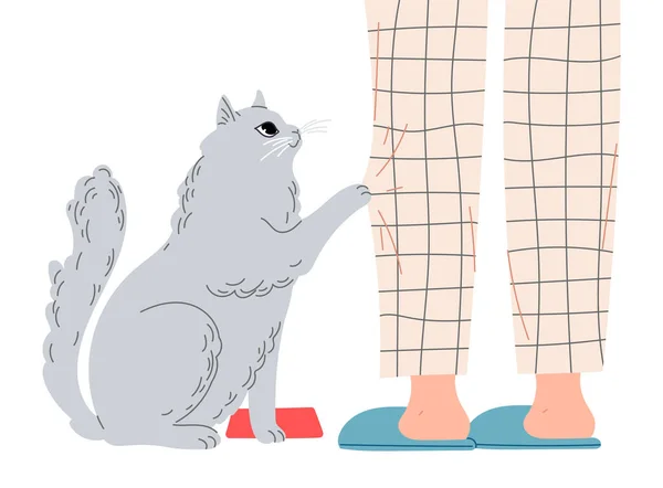 Głodny kot błaga o jedzenie od swojego pana Kot dotyka właścicieli nóg pazurami pazur spodni. — Wektor stockowy