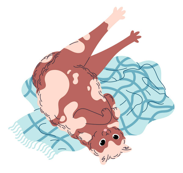 Cute cat lies on mat with paws outstretched