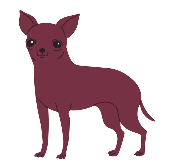 Toy Terrier vagy Chihuahua Kis Gyorsírás kutya — Stock Vector