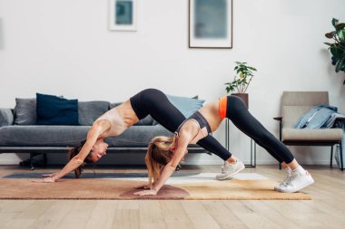 Yoga Aşağı Köpek Pozu ya da Aşağı Yüzlü Köpek Poz Anne ve kız pratik evde.