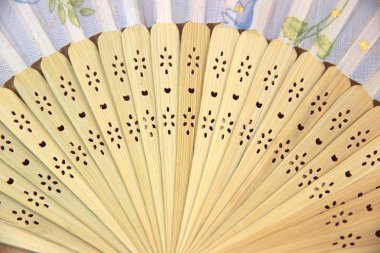 Focus Çin yelpaze woods.