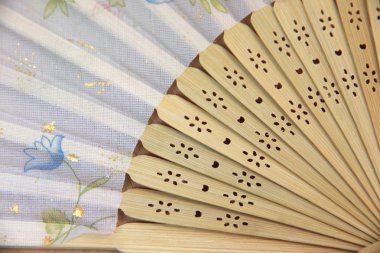 Focus Çin yelpaze woods.