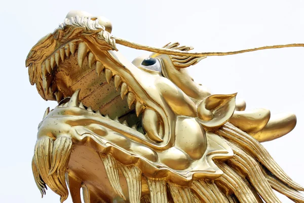 Focus hoofd de gouden draak. — Stockfoto