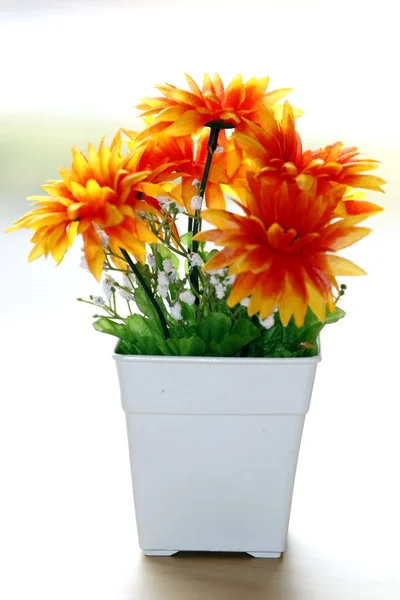 Kolorowy jest pomarańczowe kwiaty w wazonie biały. — Zdjęcie stockowe