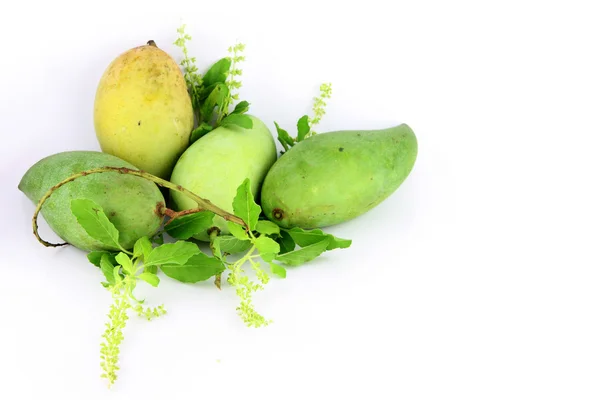 Zielone mango na białym tle. — Zdjęcie stockowe