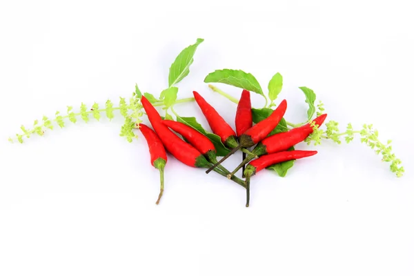 Red peppers vara kryddig. — Stockfoto