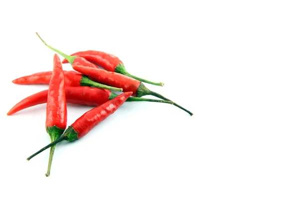 Los chiles rojos picantes . — Foto de Stock