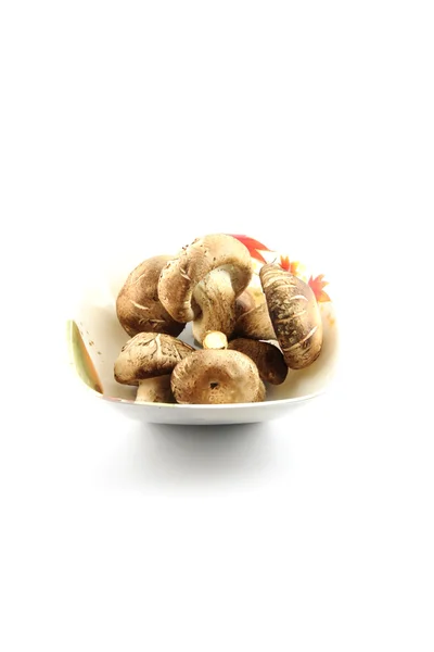 The Shiitake Mushrooms on the dish. — Stock Photo, Image