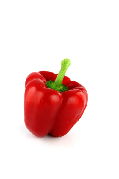 Rode paprika drie kleuren op witte achtergrond. — Stockfoto