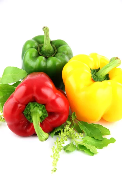 Een paprika drie kleuren op witte achtergrond. — Stockfoto