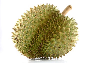 durian beyaz arkaplanda.