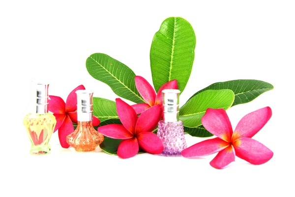 Perfume bottles with flowers. — Stock Photo, Image