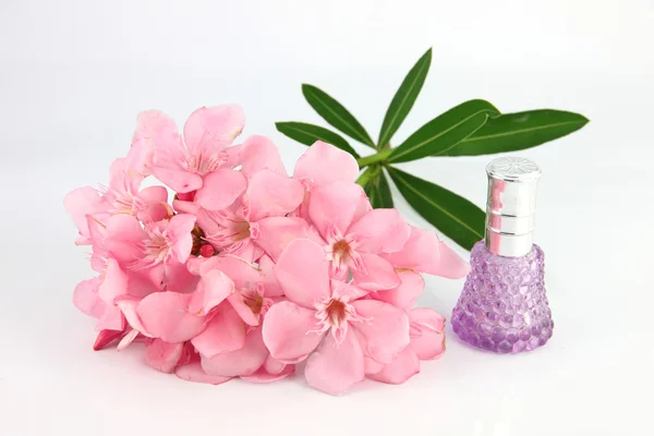 Букет светло-розовых цветов и фиолетовых духов бутылки . — стоковое фото