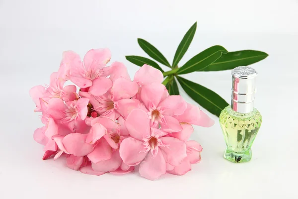 Bukiet światło różowe kwiaty i zielone perfum butelek. — Zdjęcie stockowe