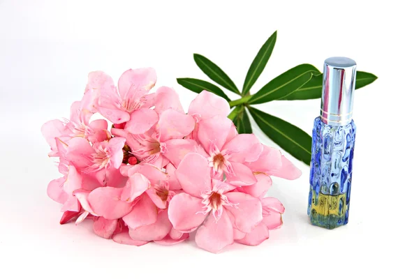 Bouquet of light pink flowers and Blue Perfume bottles. — Stock Photo, Image