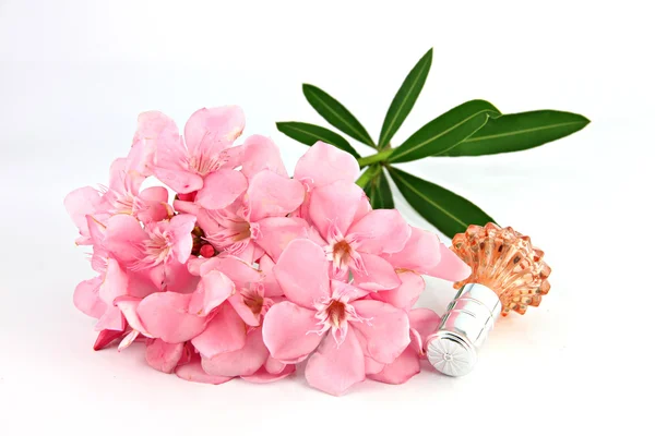 Bouquet of light pink flowers and orange Perfume bottles. — Stock Photo, Image