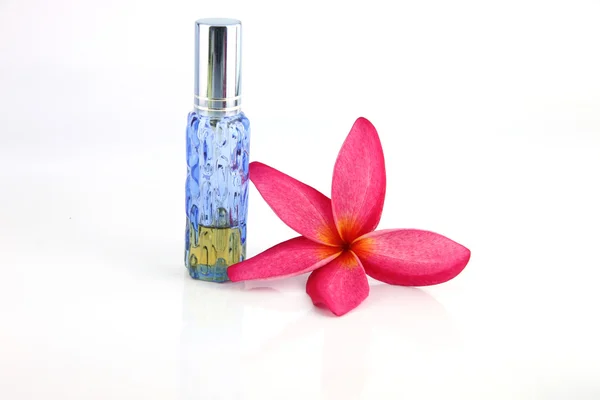 Flores rojas y botellas de perfume azul . — Foto de Stock