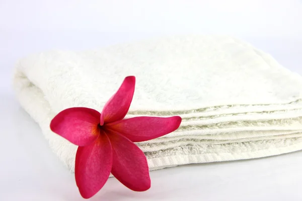 Flores rojas con toalla blanca . — Foto de Stock