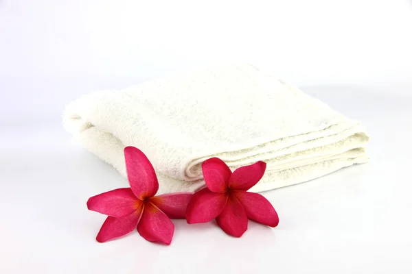Flores rojas con toalla blanca . — Foto de Stock