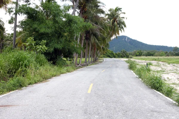 Road with coconut trees. — Stock Photo, Image