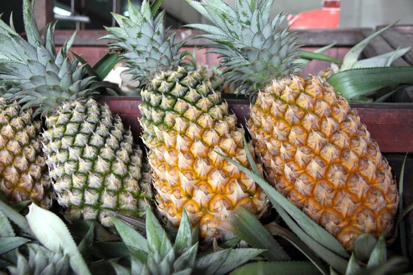 Ananas sur le marché. — Photo