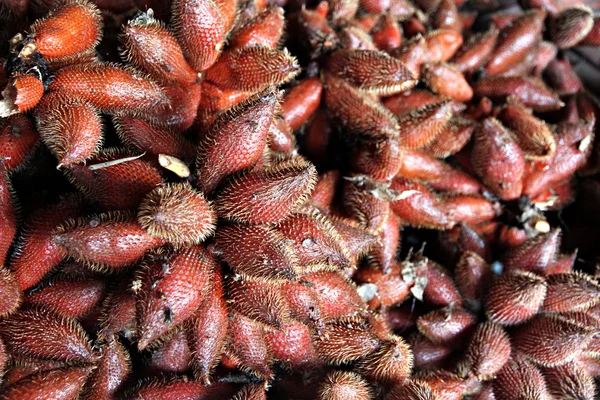 Salacca Fruit. — Stock Photo, Image