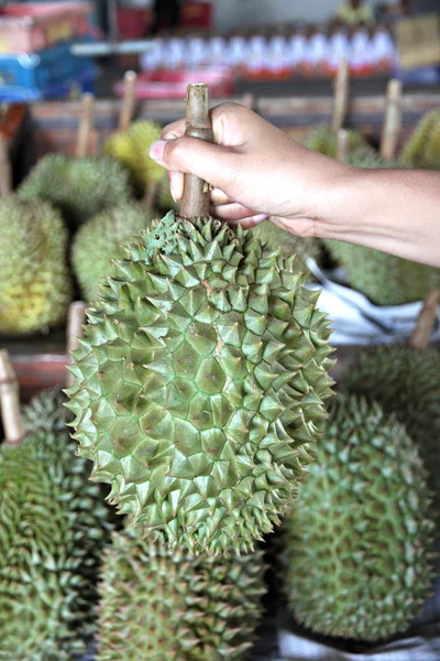 Durian uit thailand in hand. — Stockfoto