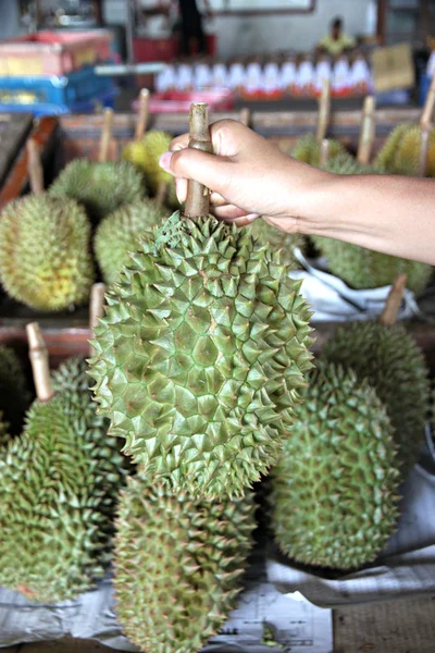 Durian from Thailand in hand. — Stock Photo, Image