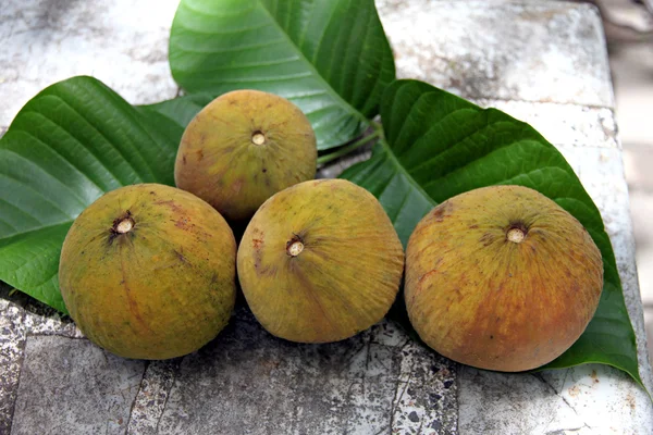 Santol frukt på bladen. — Stockfoto