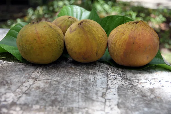 Fruta Santol en Las Hojas . — Foto de Stock