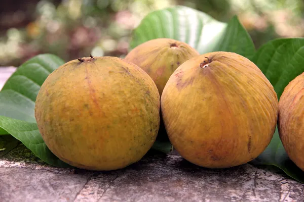 Fruta Santol nas Folhas . — Fotografia de Stock