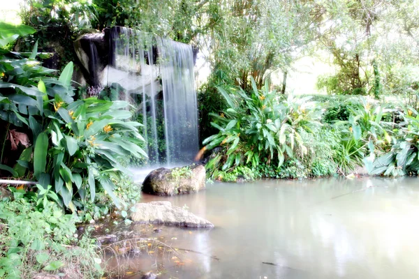 Wasserfall im Wald. — Stockfoto