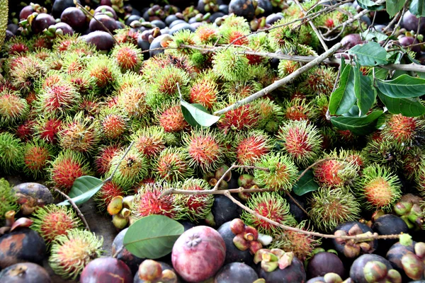 Jagodzian Rambutan i innych owoców. — Zdjęcie stockowe