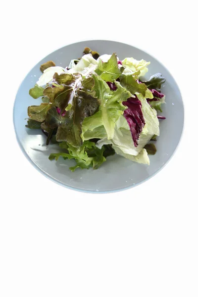 Ensalada de verduras en el plato . — Foto de Stock