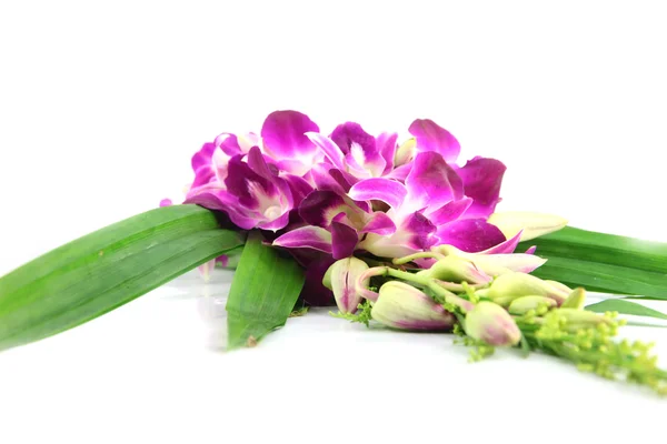 Boeket van paarse orchideeën. — Stockfoto
