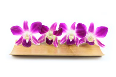 Bambu tabak içinde mor orkide.