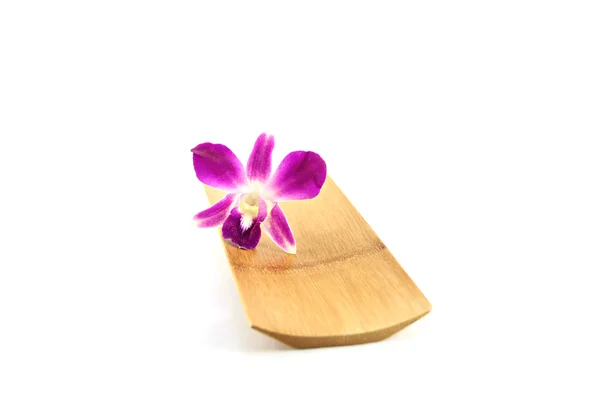 Bambu tabak içinde mor orkide. — Stok fotoğraf