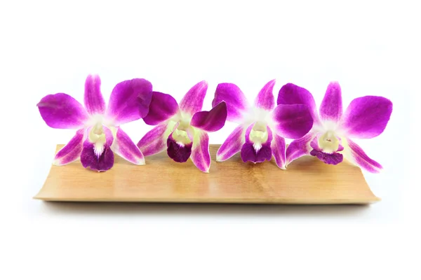 竹の皿に紫色の蘭. — ストック写真