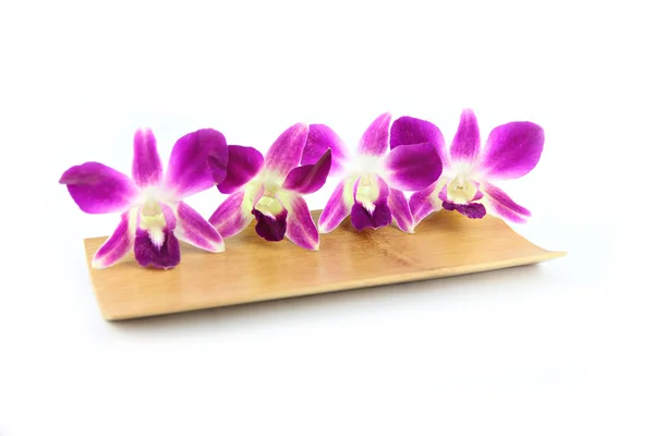 Purple orchid in bamboo dish. — Stock Photo, Image