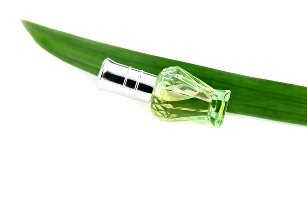 Zelená láhev parfémů a pandanus. — Stock fotografie