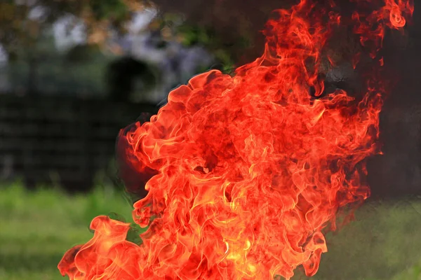 Fuego ardiendo con calor . — Foto de Stock