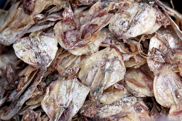Dried squid. — Stock Photo, Image